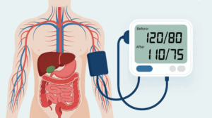 The Truth: What Really Happens to Blood Pressure After Eating